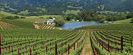 Sonoma CA Brokerage – Sotheby's International Realty - Wine Country – Sonoma  Brokerage